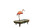 Flamingo On Billiard Vinyl Car Decal Sticker – Waterproof & UV-Resistant 5.4