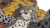 Sad Tigered Cat Vinyl Car Decal Sticker – Waterproof & UV-Resistant 2.72"