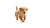 Joyful Beach Puppy Vinyl Car Decal Sticker – Waterproof & UV-Resistant 5.4