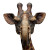 Giraffe-Elephant Hybrid Vinyl Car Decal Sticker – Waterproof & UV-Resistant 3.4133333333333336"