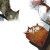 Magical Tree Cats Vinyl Car Decal Sticker – Waterproof & UV-Resistant 6.826666666666667"