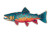 Abstract Brook Trout Vinyl Car Decal Sticker – Waterproof & UV-Resistant 5.97333333333333