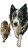 Playing Pets Prairie Vinyl Car Decal Sticker – Waterproof & UV-Resistant 4.8533333333333335"