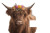 Highland Cow Welcome Vinyl Car Decal Sticker – Waterproof & UV-Resistant 2.986666666666667"
