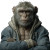 Gym Monkey Vinyl Car Decal Sticker – Waterproof & UV-Resistant 3.4133333333333336"