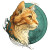 Orange Tabby Cat V20 Vinyl Car Decal Sticker – Waterproof & UV-Resistant 6.826666666666667"