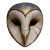 Ivory Sooty Owl Vinyl Car Decal Sticker – Waterproof & UV-Resistant 3.4133333333333336"
