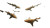 Frenzy Of Sharks Vinyl Car Decal Sticker – Waterproof & UV-Resistant 5.4