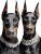 Dobermans In Diamonds Vinyl Car Decal Sticker – Waterproof & UV-Resistant 8.213333333333333"