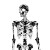 Lace Skeleton Vinyl Car Decal Sticker – Waterproof & UV-Resistant 6.826666666666667"