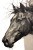 Wild Merens Horse Vinyl Car Decal Sticker – Waterproof & UV-Resistant 4.4
