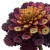 Fractal Dahlia Vinyl Car Decal Sticker – Waterproof & UV-Resistant 3.4133333333333336"