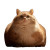 Chubby Cat Man Vinyl Car Decal Sticker – Waterproof & UV-Resistant 3.4133333333333336"