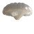 White Parachute Display Vinyl Car Decal Sticker – Waterproof & UV-Resistant 3.4133333333333336"