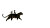 Jungle Tiger Ride Vinyl Car Decal Sticker – Waterproof & UV-Resistant 5.4