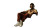 Stylish Man Lounging Vinyl Car Decal Sticker – Waterproof & UV-Resistant 5.4