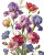 Oversized Blooming Flowers V2 Vinyl Car Decal Sticker – Waterproof & UV-Resistant 8.0"