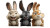 Pixar Style Rabbit V2 Vinyl Car Decal Sticker – Waterproof & UV-Resistant 5.4