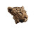 Leopard Floral Fabric Vinyl Car Decal Sticker – Waterproof & UV-Resistant 6.826666666666667"