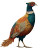 Vintage Oriental Pheasant Vinyl Car Decal Sticker – Waterproof & UV-Resistant 4.0"