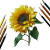 Bright Sunflower V2 Vinyl Car Decal Sticker – Waterproof & UV-Resistant 3.4133333333333336"