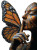 Monarch Butterfly Woman V2 Vinyl Car Decal Sticker – Waterproof & UV-Resistant 8.533333333333333"