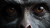 Realistic Animal Face Vinyl Car Decal Sticker – Waterproof & UV-Resistant 2.72"
