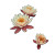 Water Flower Art Vinyl Car Decal Sticker – Waterproof & UV-Resistant 3.4133333333333336"