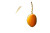 Ripe Mango Glow Vinyl Car Decal Sticker – Waterproof & UV-Resistant 5.97333333333333