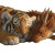 Tyger And Dragon Vinyl Car Decal Sticker – Waterproof & UV-Resistant 6.826666666666667"