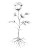 Rose With Thorns Vinyl Car Decal Sticker – Waterproof & UV-Resistant 8.213333333333333"