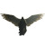 Winged Archangel Vinyl Car Decal Sticker – Waterproof & UV-Resistant 6.826666666666667"