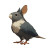 Pigeon-Opossum Hybrid Vinyl Car Decal Sticker – Waterproof & UV-Resistant 3.4133333333333336"