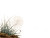 Spider In Web V2 Vinyl Car Decal Sticker – Waterproof & UV-Resistant 3.0933333333333333"