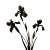 Irises Silhouette Vinyl Car Decal Sticker – Waterproof & UV-Resistant 6.826666666666667"