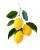 Minimalist Lemons Vinyl Car Decal Sticker – Waterproof & UV-Resistant 4.0"