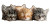Sleeping Kittens Pile Vinyl Car Decal Sticker – Waterproof & UV-Resistant 5.4