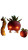 Demonic Fruit Altar Vinyl Car Decal Sticker – Waterproof & UV-Resistant 4.8533333333333335"