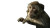 Typing Monkey V2 Vinyl Car Decal Sticker – Waterproof & UV-Resistant 2.72"