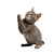 Cute Scratching Kitty Vinyl Car Decal Sticker – Waterproof & UV-Resistant 3.4133333333333336"