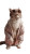 Disco Cat Performer Vinyl Car Decal Sticker – Waterproof & UV-Resistant 9.706666666666667"