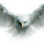 Fierce White Eagle Vinyl Car Decal Sticker – Waterproof & UV-Resistant 3.4133333333333336"