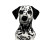 Swimming Dalmatian Vinyl Car Decal Sticker – Waterproof & UV-Resistant 3.2"
