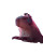 Cyber Capybara Tech Vinyl Car Decal Sticker – Waterproof & UV-Resistant 4.0"