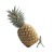 Pineapple Pusher Vinyl Car Decal Sticker – Waterproof & UV-Resistant 3.4133333333333336"