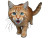 Mischievous Kitten Vinyl Car Decal Sticker – Waterproof & UV-Resistant 6.1866666666666665"
