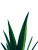 Fresh Pineapple Leaves Vinyl Car Decal Sticker – Waterproof & UV-Resistant 8.213333333333333"