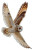 Majestic Owl Flight V3 Vinyl Car Decal Sticker – Waterproof & UV-Resistant 4.533333333333333"