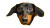 Curious Dachshund Peek Vinyl Car Decal Sticker – Waterproof & UV-Resistant 5.4