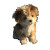 Fluffy Puppy Sitting Vinyl Car Decal Sticker – Waterproof & UV-Resistant 3.4133333333333336"